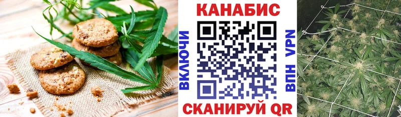 Canna-Cookies марихуана  Фокино 
