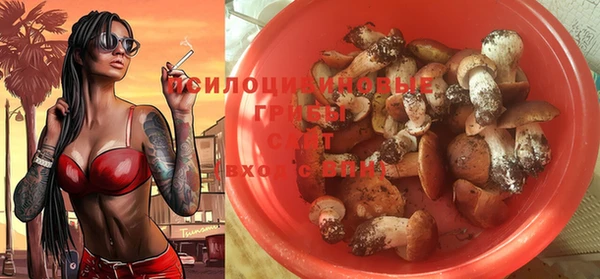 амф Остров