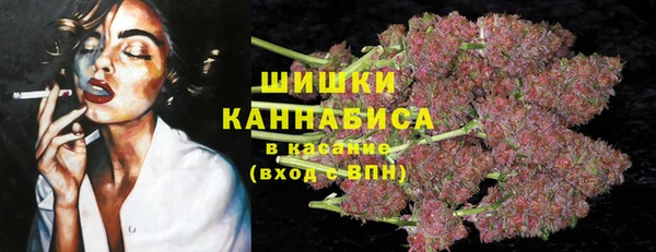 крисы Нязепетровск