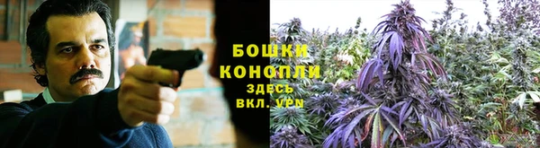 MESCALINE Осинники