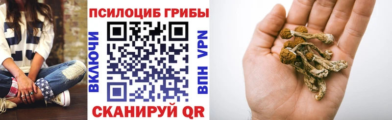 Галлюциногенные грибы мухоморы  Фокино 